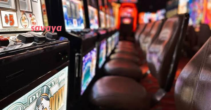 savaya slide 1